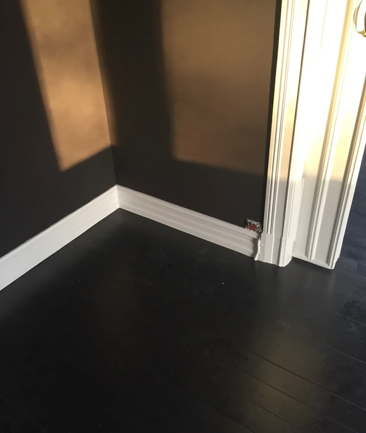 Modern interior renovation with dark flooring white trim